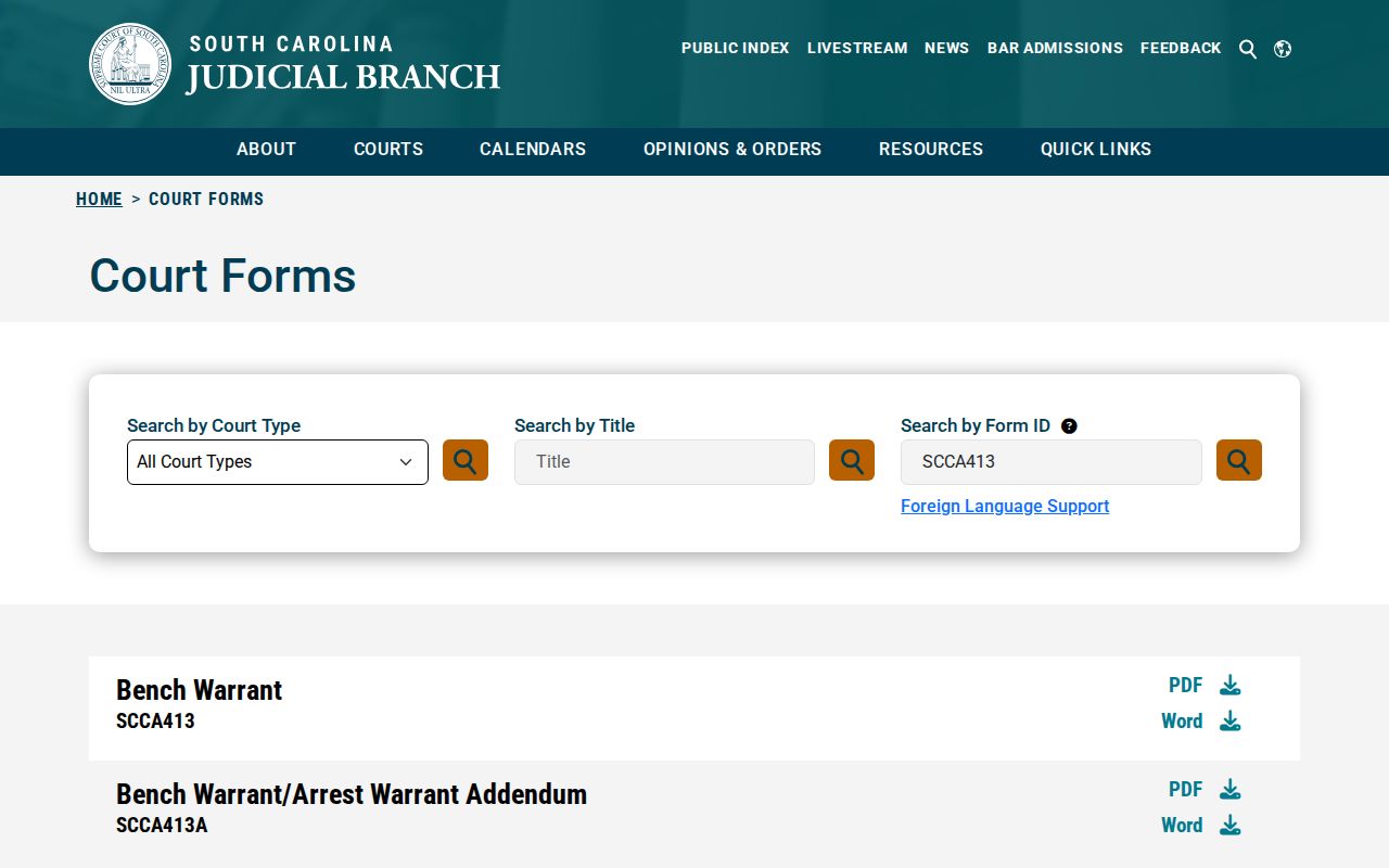 Greenville County bench warrant form and warrant record fields